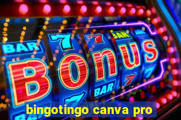 bingotingo canva pro